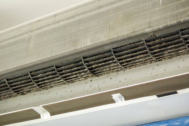 Best Emergency Air Duct Cleaning  in Harlan, IN